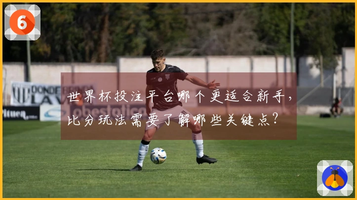 世界杯投注平台哪个更适合新手，比分玩法需要了解哪些关键点？