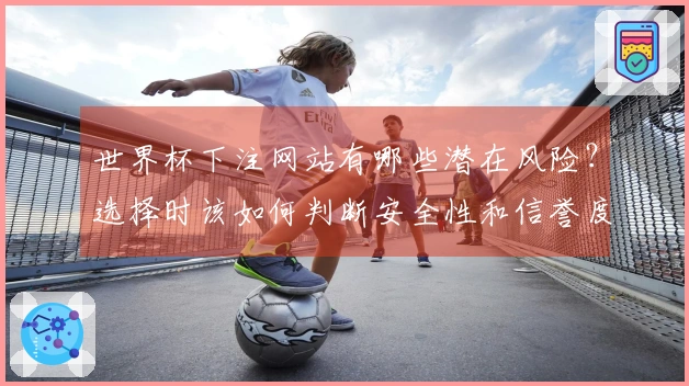 世界杯下注网站有哪些潜在风险？选择时该如何判断安全性和信誉度