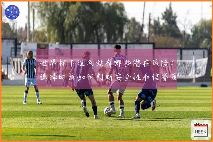 世界杯下注网站有哪些潜在风险？选择时该如何判断安全性和信誉度